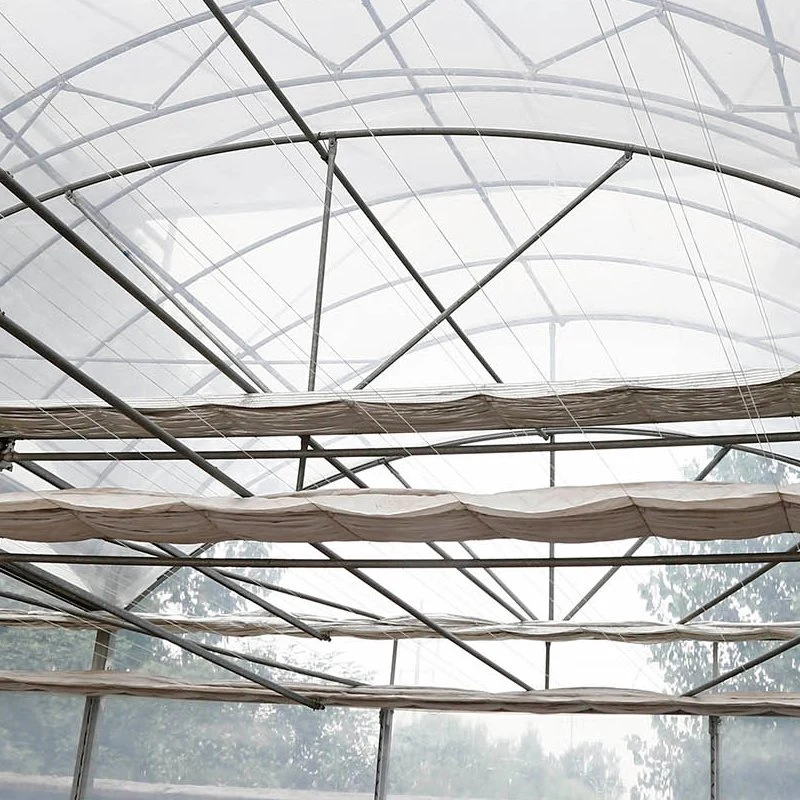 Venlo Multi Span Glass Greenhouse, Film Cover Greenhouse