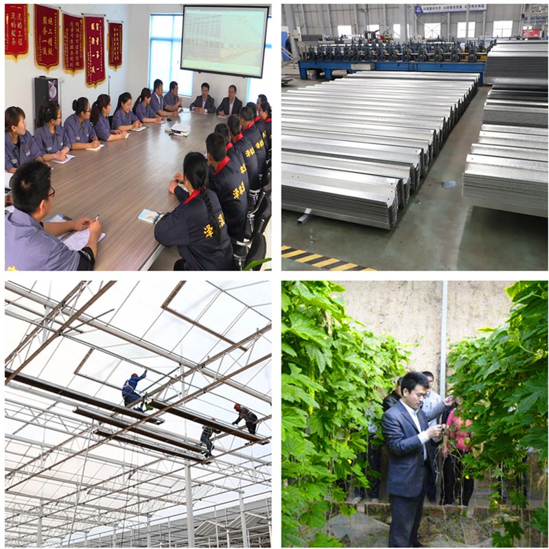 Large Size Multispan Arch Type Plastic Film Covered Greenhouse for Tomato/Cucumber/Melon/Strawberry