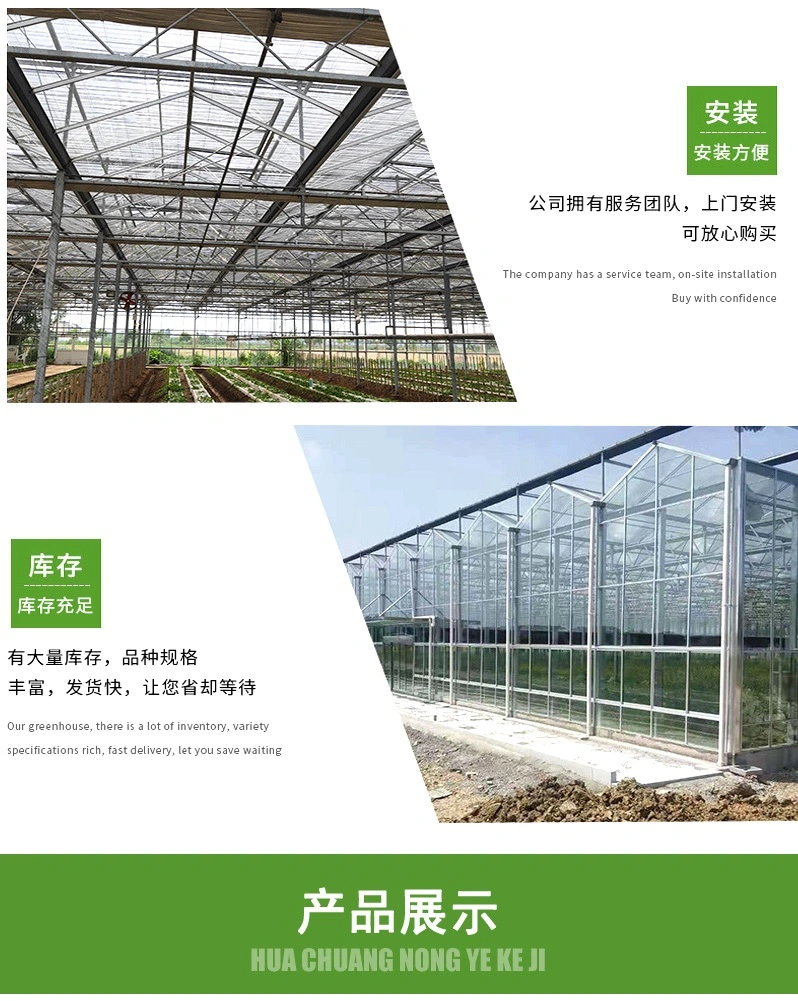 Customized Design Commercial Hydroponics Industrial Photovoltaic (PV) Intelligent Greenhouse