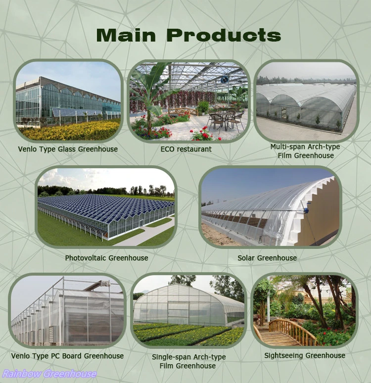 Agriculture Environmental Photovoltaic Panels Greenhouse for Vegetables/Cucumbers/Tomatoes/Flowers/Garden
