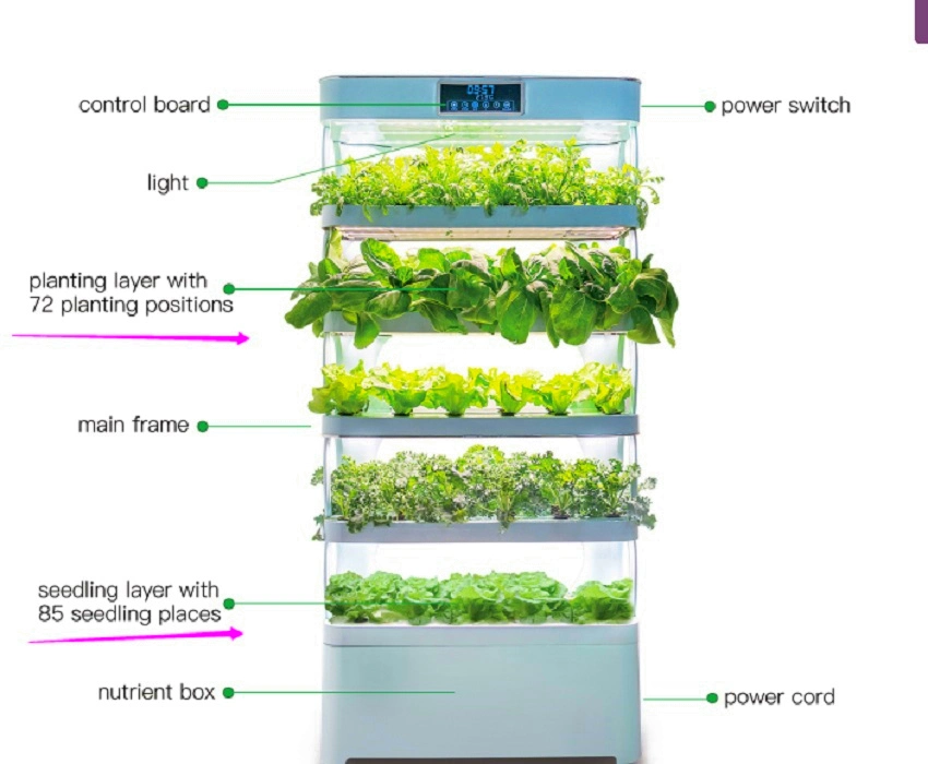 Agricultural Greenhouse Vertical Aquaponic System Commercial Hydroponics Growing System