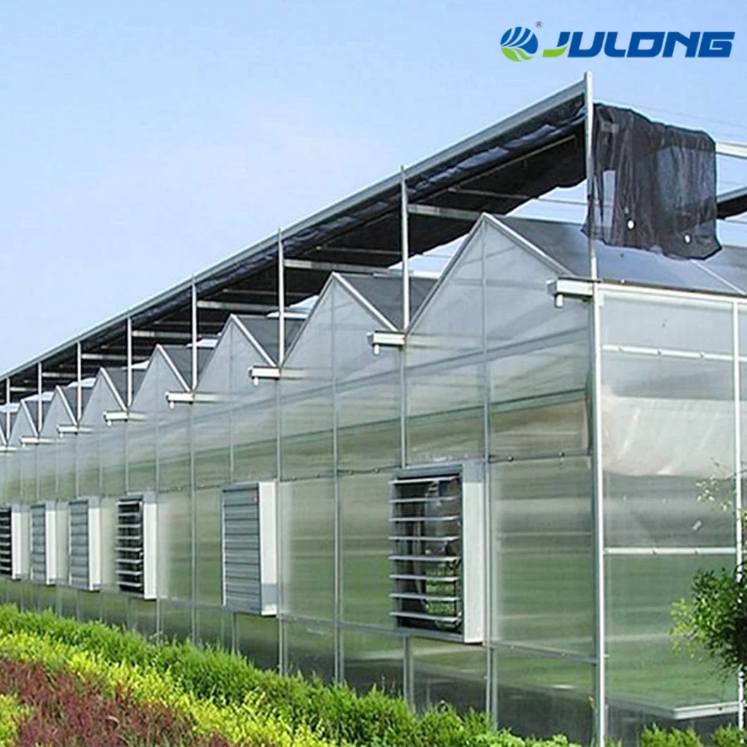 Greenhouse Supplier Turnkey Greenhouse Project Agriculture Vegetable Tomato Greenhouse for Commercial Hydroponics System