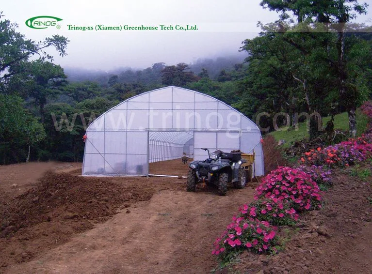 Agriculture/Farm/Single-Span/Tunnel Plastic Film Greenhouse with Irrigation System for Tomato/Strawberry/Cucumber Planting