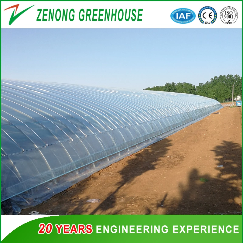 Flower Po/PE Film Single-Tunnel Greenhouse with Shading Screen for Rose/Tulip/Camellia