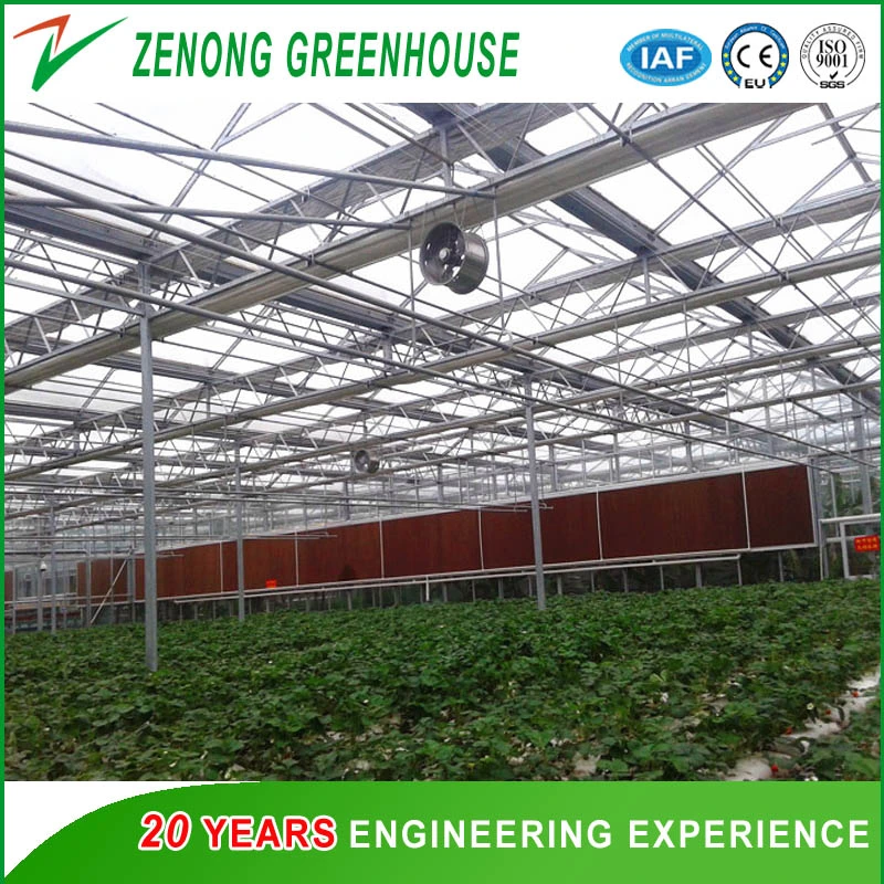 Intelligent Venlo Greenhouse PC Board Covered Greenhouse for Planting Vegetables/Tomato/Cucumber