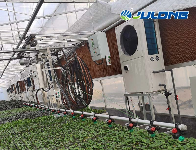 Modern Multi Span High Tunnel Plastic Film Greenhouse for Hydroponic System tomatoes Farming Planting