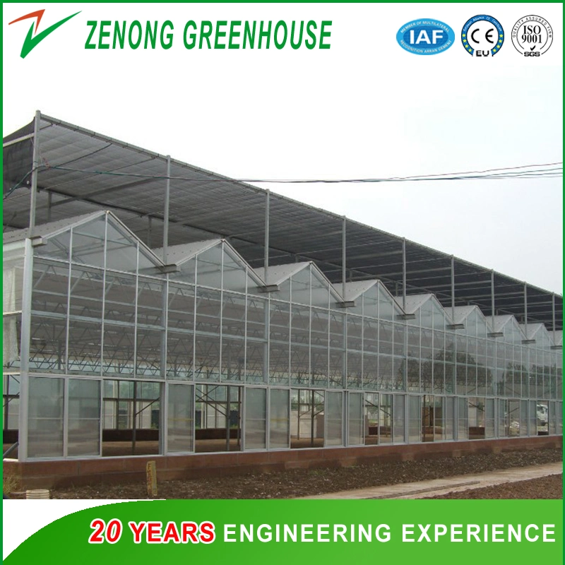 PC Greenhouse with Outside and Inside Shading System for Sunshine Block