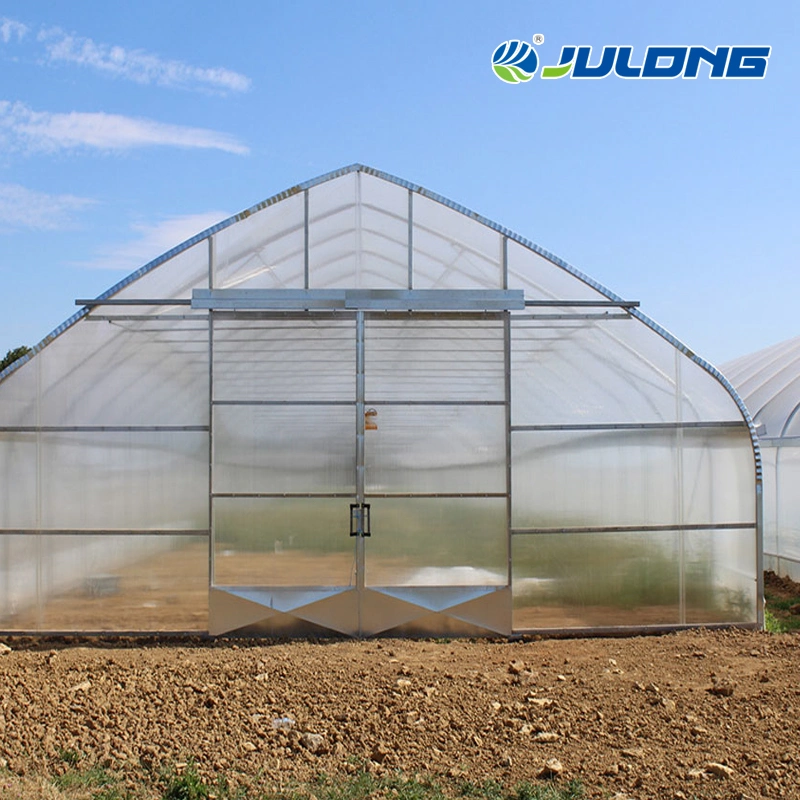 Agricultural Vegetable Venlo Multi Span Double Layer Polycarbonate Sheet Hydroponics Greenhouse for Farming Flowers Tomato