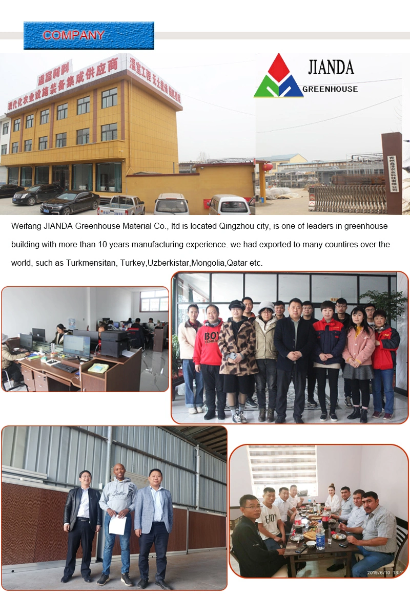Low Price Commercial Agriculture Greenhouse Wide Po Plastic Film Greenhouse for Farming