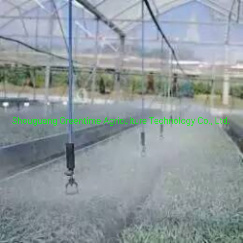 Agricultural Intelligent Glass Greenhouse with Hydroponic Systems for Planting Tomatoes/Cucumber/Eggplant/Lettuce