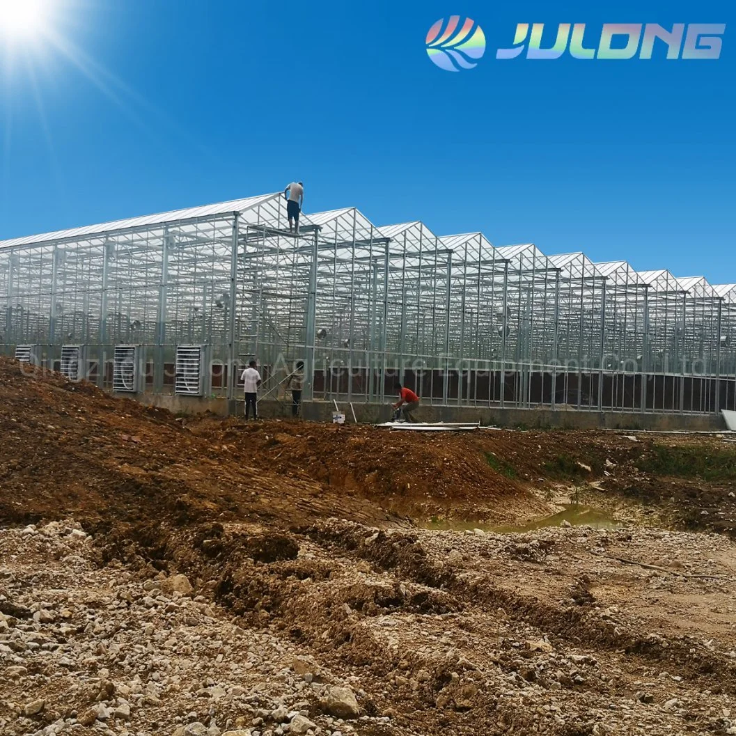 Hydroponic Equipment China Supplier Vegetable Growing Commercial Greenhouse with Low Cost