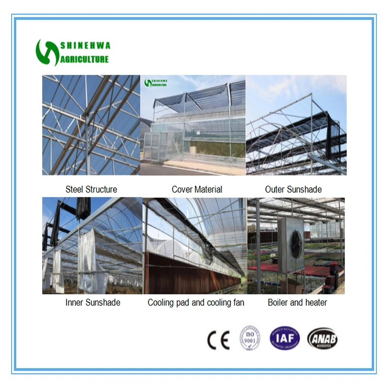 Solar Greenhouse, Glass Greenhouse, Venlo Greenhouse