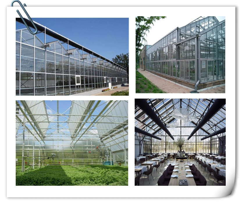 Galvanized Steel Frame Single Span Greenhouse