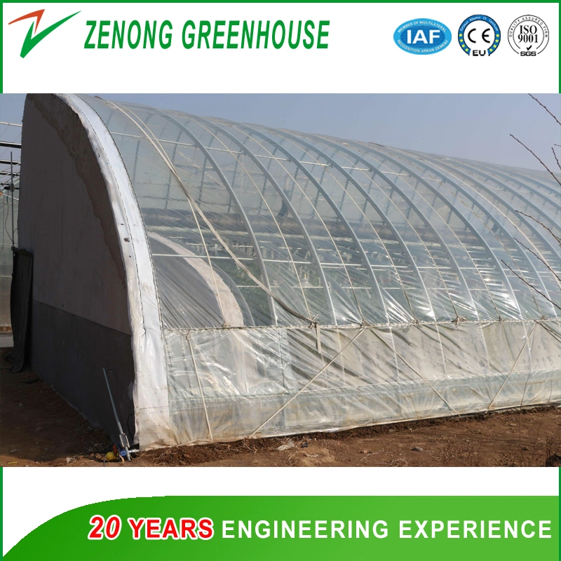 Agriculture Po/PE Film Anti-Season Vegetable Greenhouse for Tomato/Green Cucumber/Broccoli