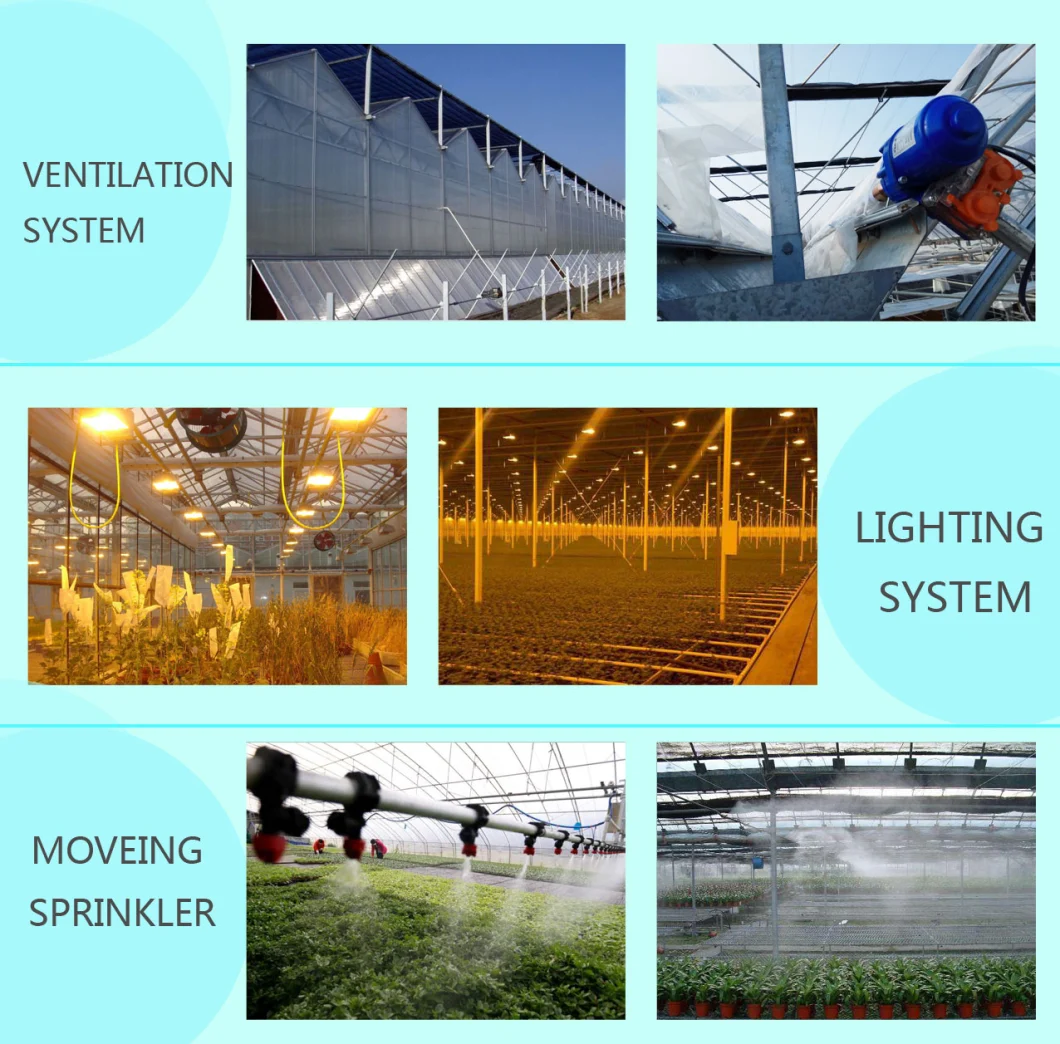 Multi-Span Tunnel Arch Type Po Film Plastic Greenhouse for Tomato Cucumber Strawberry Hydroponics Growing