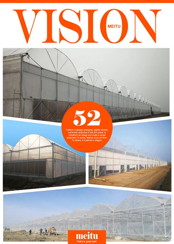 Greenhouse Price Agricultural Commercial Greenhouse for Vegetable Flower Fruit Growth