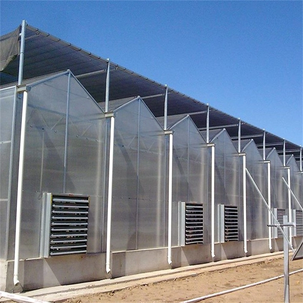 Polycarbonate PC Green Houses/Cucumber Greenhouse/Strawberry Greenhouse