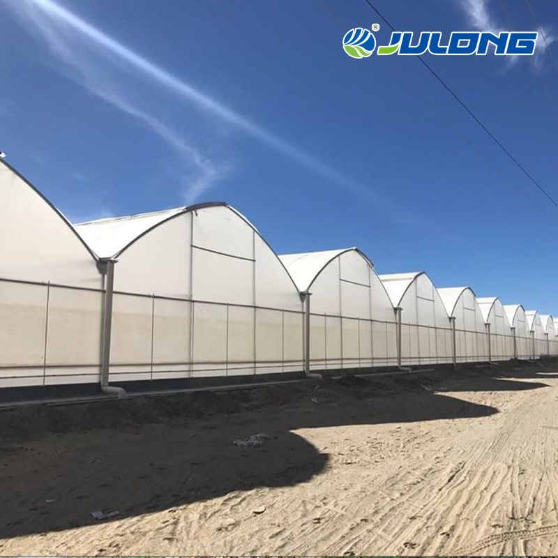 Agriculturl Plastic Film Greenhouse with Drip Irrigation System for Tomato/Lettuce/Cherry/Cucumber Planting