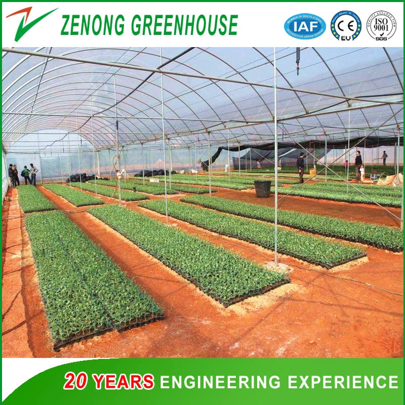 Commercial Green House Agriculture Green House Plastic Film Greenhouses for Hydroponics/Seed Breeding