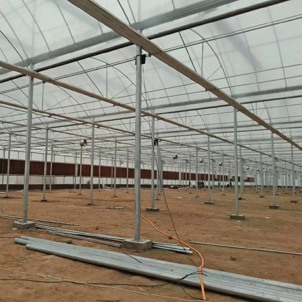Agricultural Poly Tunnel Green House/Tomato Greenhouse