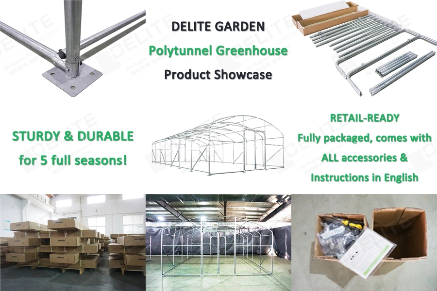 Double Layer Hoop House Agriculture Breeding Steel Frame Full Polytunnel Greenhouse Kits