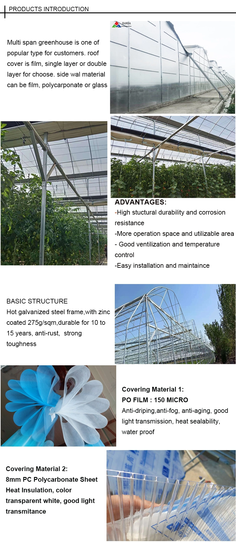 Double Arch Double Film Vegetable Greenhouses/Po Film Greenhouse
