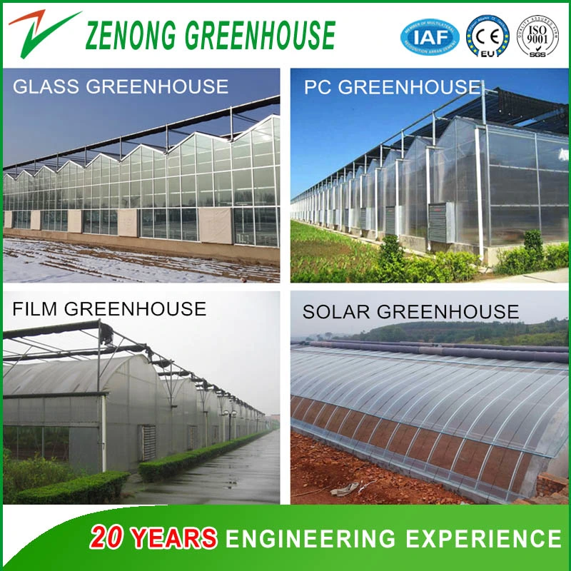 Commercial Multi-Span PC Board/Film Greenhouse for Vegetables/Flowers/Fruits/Eco Restaurant/Seed Breeding