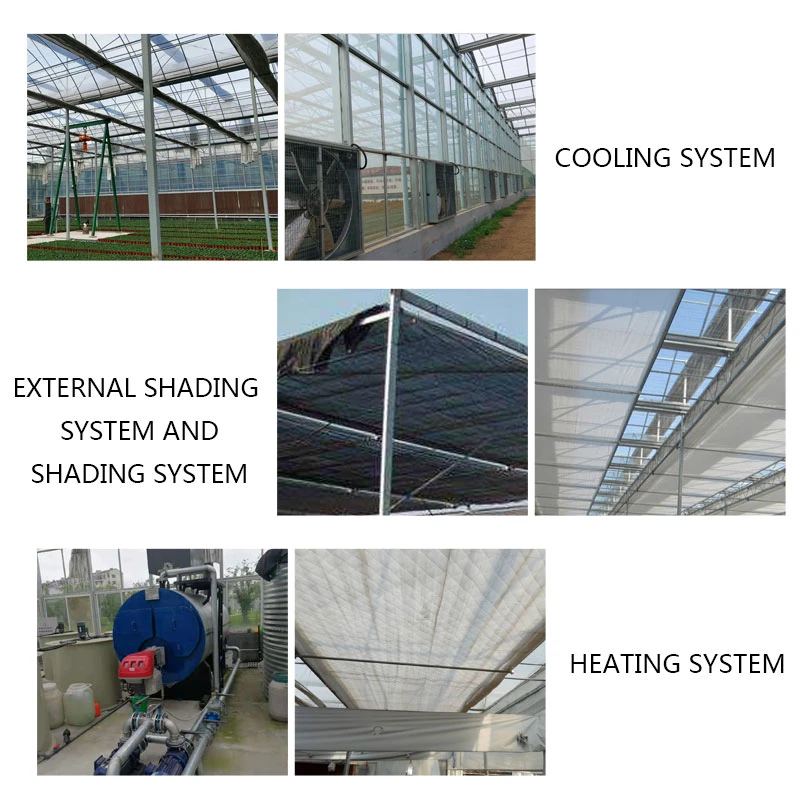 Glass Plastic Film Commercial Greenhouse with Shading Net