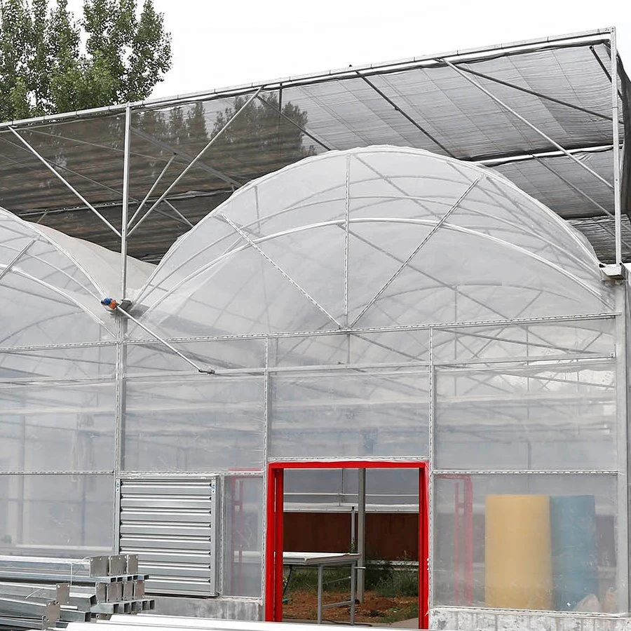 Venlo Multi Span Glass Greenhouse, Film Cover Greenhouse