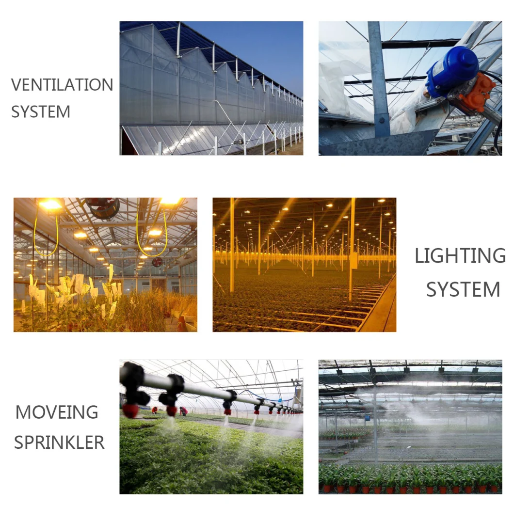 China Supplier Low Cost Glass Greenhouse for Commercial