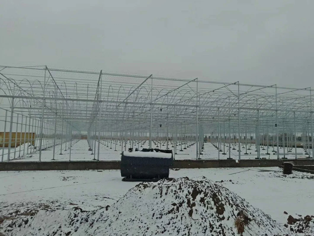 High Tunnel Aquaponic Agricultural Greenhouse with Heating System