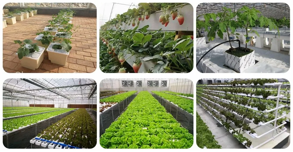 Plastic Film/Single Span/Tunnel/Gothic Green House with Vertical Agricultural Hydroponic/Cooling/Shading/Irrigation/Heating System