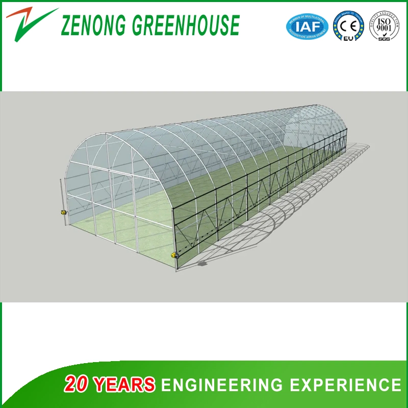 Tulip Plastic Film Single-Span Greenhouse with Shading Net/Exhaust Fan