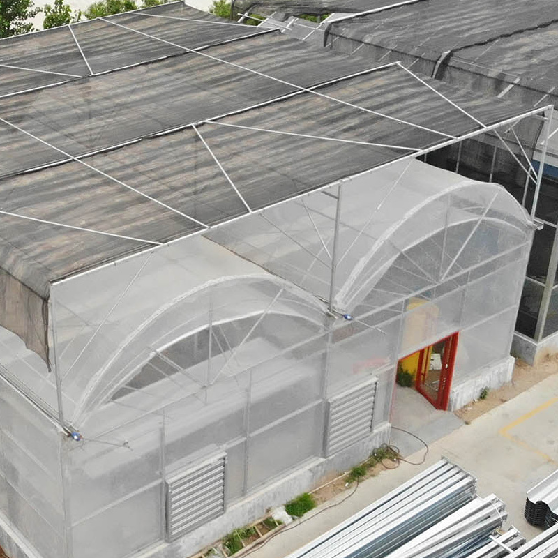 Hot Galvanized Structure Film Covering Tomato Greenhouse