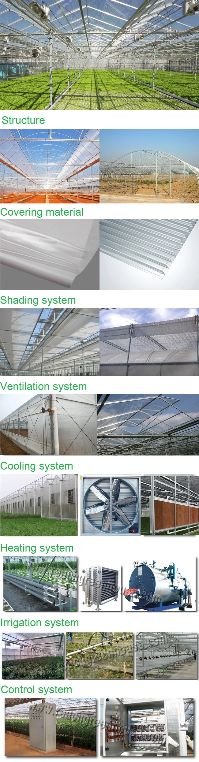 Multi-Span Arch-Type Film Greenhouse with Hydroponics System