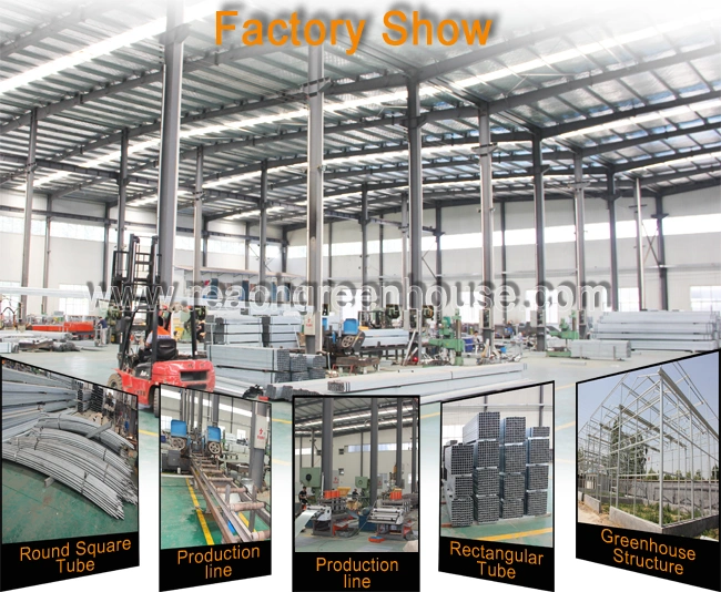Inside Shading System of Agricultural and Commercial Greenhouse
