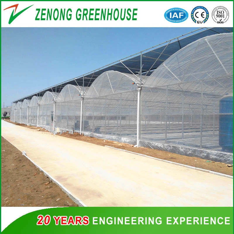 Arch Roof Tunnel Type Film Covered Greenhouse Flower/Vegetable/Fruit/Planting/Farm/Aquaculture/Livestock Breeding