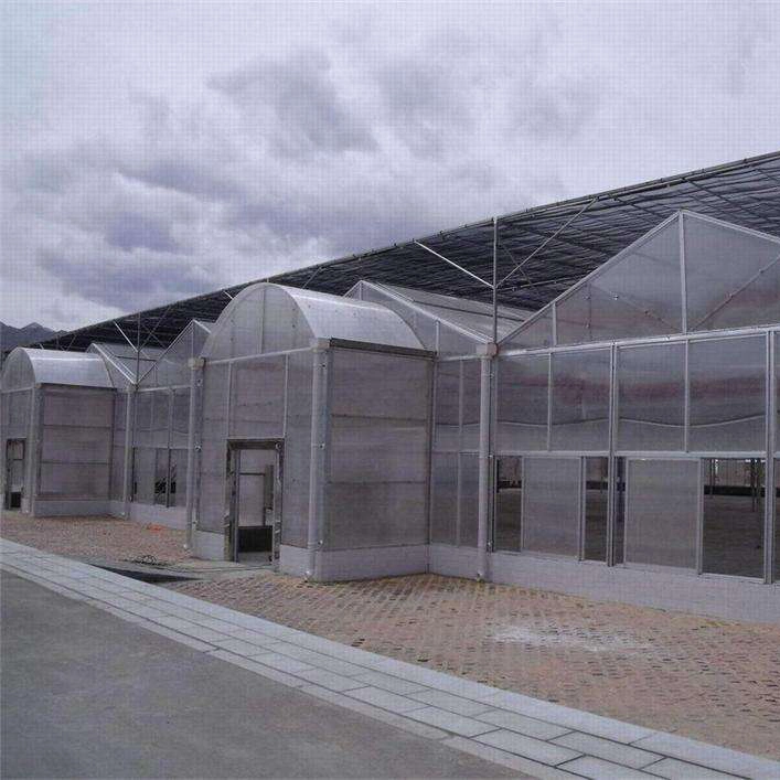 Polycarbonate Greenhouse for Vegetables Planting