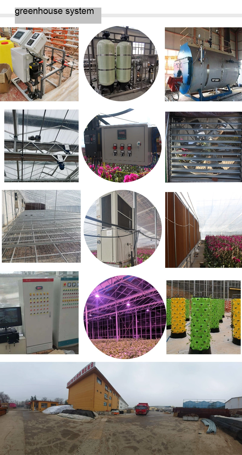 Light Deprivation Blackout Greenhouse Greenhouse for Medical Plants Growing