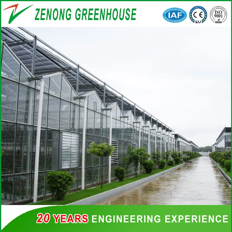 Venlo Glass Greenhouse with Mist-Irrigation System for Seed Breeding/Flowers