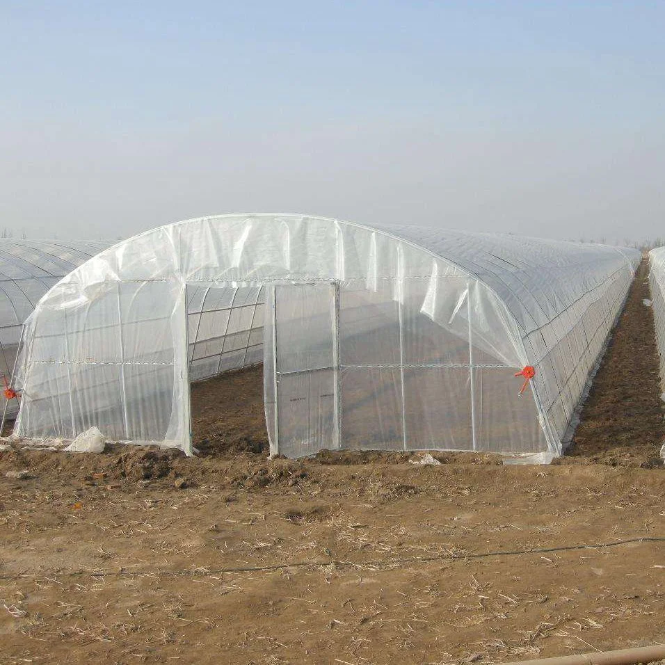 High Quality Agricultural/Commercial Single Span Tunnel Greenhouse with Hydroponic/Cooling/Irrigation/Shading System
