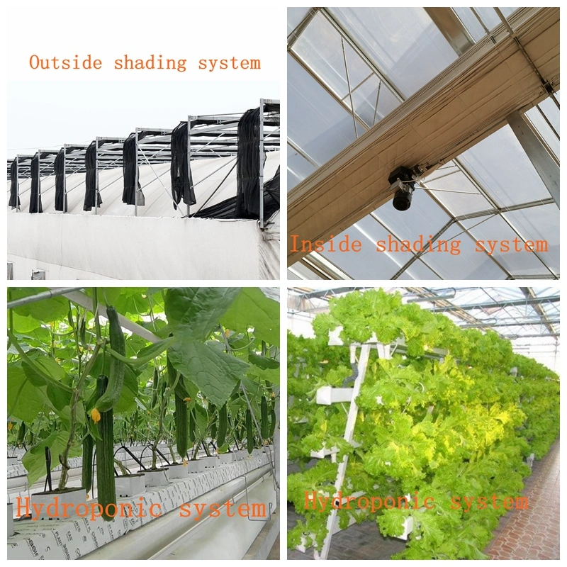 PC Greenhouse Agriculture Productive with Hydroponic System for Planting Tomato/Lettuce/Strawberry/Cucumber/Garden