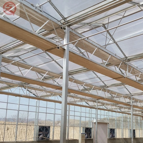 High Tunnel Polycarbonate/PC Sheet Greenhouse for Agriculture Productive/Invernaderos Price
