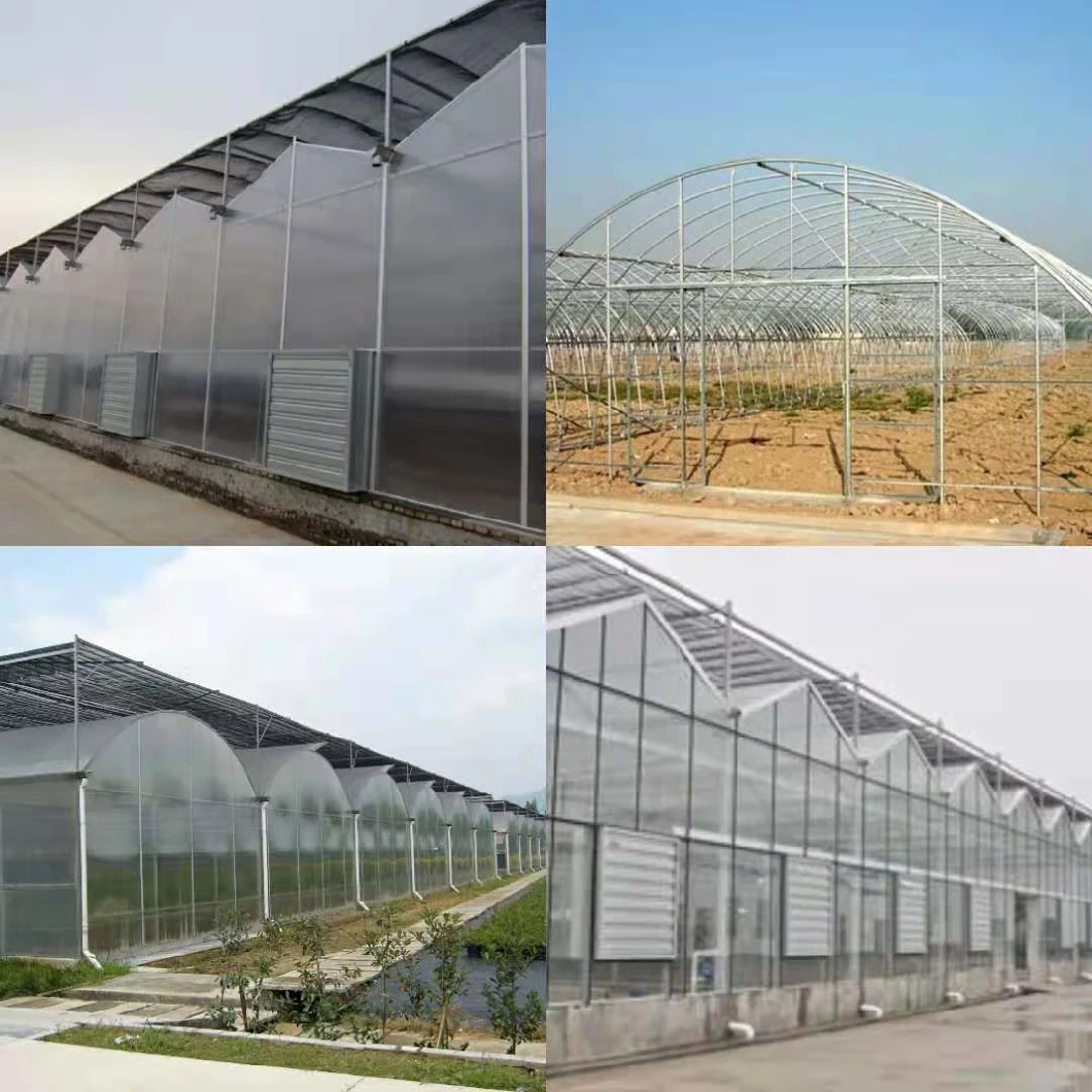 Hydroponics Plant Factory Moveable Container Hydroponics Fresh Vegetables Greenhouse