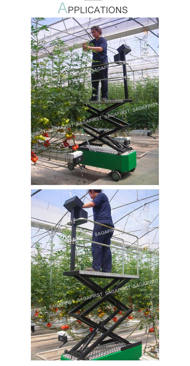 Cheap Mini Mobile Portable Electric Greenhouse Flower Trolley Cart with Ce