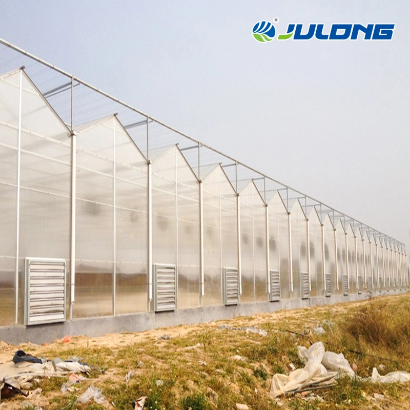 Agricultural Hydroponics System Greenhouse Multi-Span Polycarbonate Sheet Greenhouse