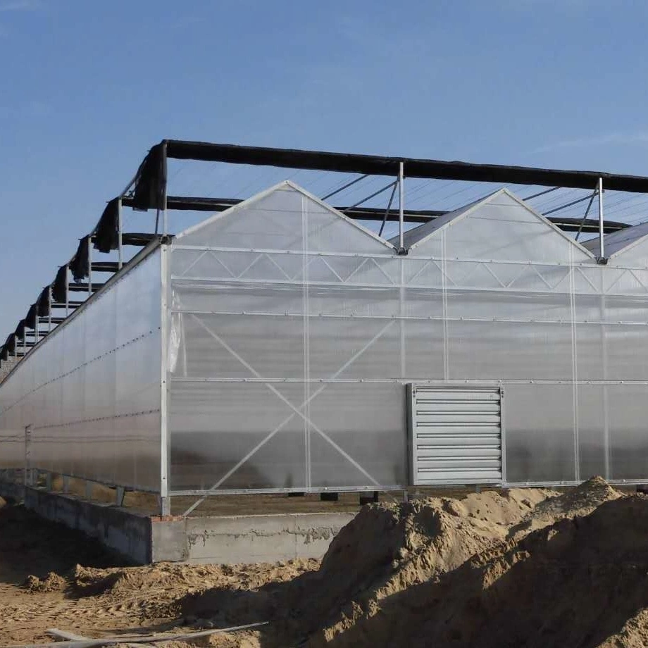 Single Garden Film Greenhouse for Vegetable Cucumbers with Hydroponics System