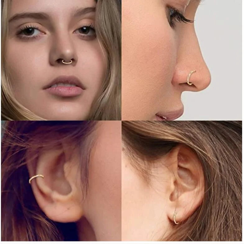 G23 Titanium Hoop Piercings Hinged Nose Hoop Nose Rings Segment Clicker