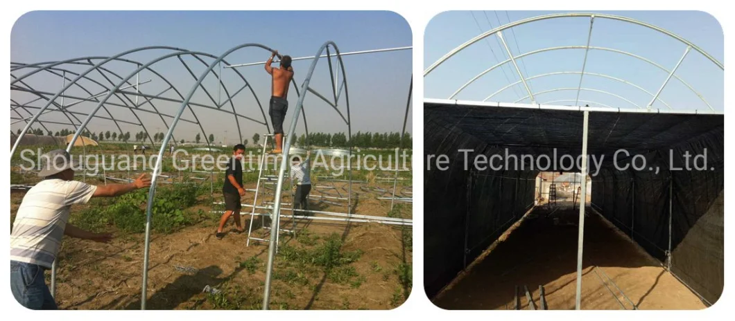 Commercial Light Deprivation Greenhouse for Medical Plants Growing