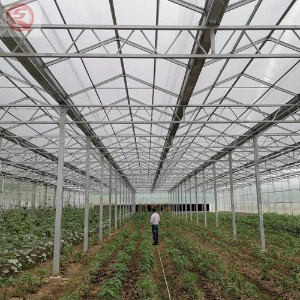 Agriculture Productive High Tunnel Glass Tomato/Cucumber/Mushroom/Strawberry/Lettuce/Flower/Commercial Greenhouse with Hydroponic Equipments